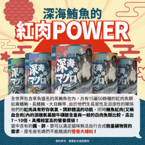 VOSTO、沃斯托、寵物、鮪魚紅肉、400g、貓咪罐頭、大貓罐、大滿足、鮪魚罐頭、浪貓、多貓、營養