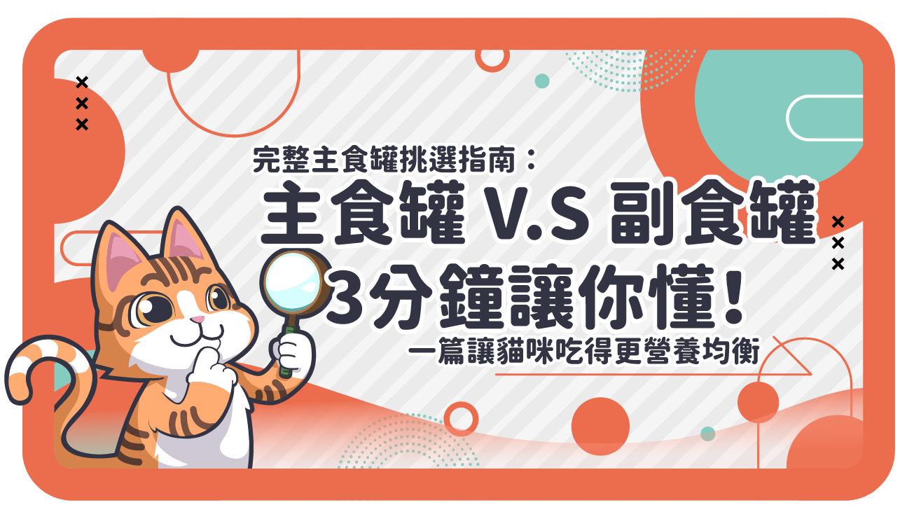 主食罐、副食罐差在哪?完整主食罐挑選指南3分鐘讓你懂!讓貓咪吃得更營養均衡